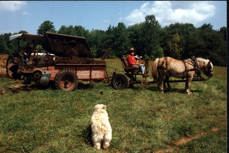 horse composting